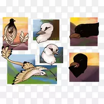 猫头鹰绘画/m/02 csf动物群绘图-OWL