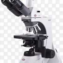 光学显微镜、相差成像显微镜