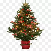 png图片圣诞树剪贴画冷杉圣诞日-圣诞树