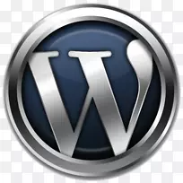 网站开发WordPress搜索引擎优化响应Web设计-WordPress