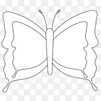 线条艺术蝴蝶黑白着色书绘图-蝴蝶