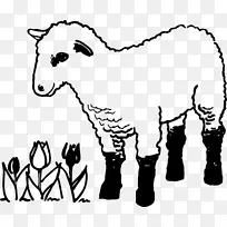 羊色书页着色书羊肉羊