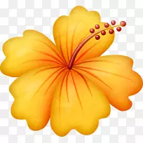夏威夷美食剪贴画png图片花花