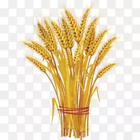 图形小麦剪贴画穗谷小麦