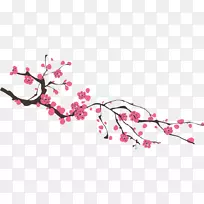 png图片樱花夹艺术图像桌面壁纸-樱花