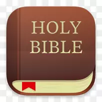圣经产品设计品牌YouVersion-圣经图标透明