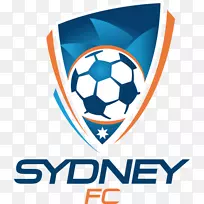 悉尼足球俱乐部保留墨尔本队2017年-18a联赛胜利-悉尼