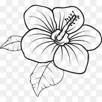 夏威夷绘画剪贴画图形.花