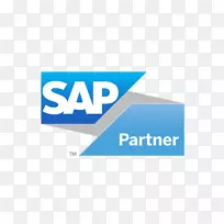 组织sap se伙伴关系徽标sap实施-erp图标