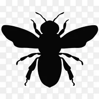 蜜蜂图形欧洲黑蜂插图-蜜蜂
