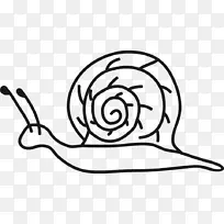 剪贴画蜗牛素描画册图片-蜗牛