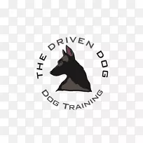 胡须蒙迪奥普公司-平衡训练猫狗品种-狗