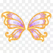 毛茸茸的蝴蝶。蝴蝶夹艺术对称-蝴蝶