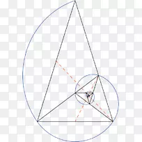 金螺旋金三角黄金比率-三角形