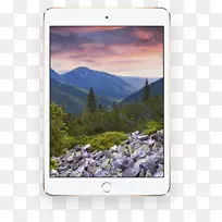 iPad迷你3 iPad迷你4 ipad Air 2 ipad 4-ipad pro