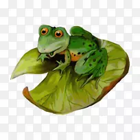 树蛙剪贴画真正的青蛙两栖动物-绿色青蛙