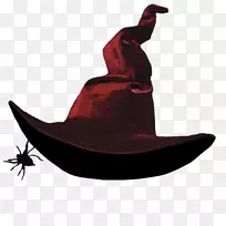 女巫帽，巫术服装，КосовоПоле(Радиоверсия)-帽子