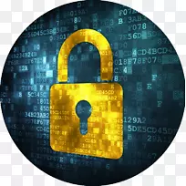 计算机安全互联网对安全技术的承诺.网络安全挂锁