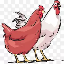 鸡夹艺术家禽-鸡