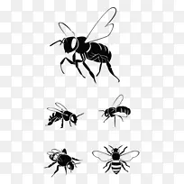 西方蜜蜂剪贴画图形插图-蜜蜂