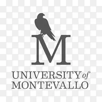 蒙得瓦洛大学哥德堡大学标志品牌喙-迈阿密大学标志