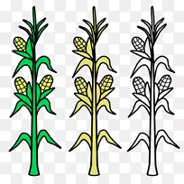 玉米上的玉米糖玉米着色书作物-植物