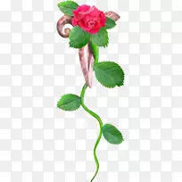 花园玫瑰静物：粉色玫瑰剪贴艺术形象花卉