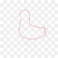 拇指喙水鸟设计.海鸥