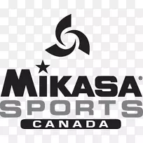 水球产品设计Mikasa体育标志品牌-Mikasa