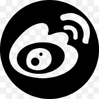 新浪微博新浪腾讯微博电脑图标微信图标