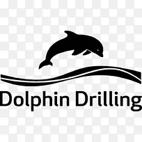 海豚剪贴画海豚甲壳动物品牌-海豚