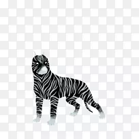 虎猫须斑马陆生动物虎