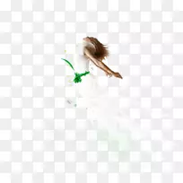 桌面壁纸天使png图片摄影婴儿天使