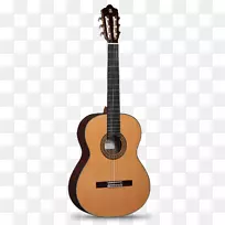 阿尔罕布拉古典吉他