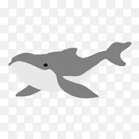 图库西鲸、海豚、虎鲸、座头鲸、海豚