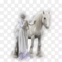 骆驼马斑马形象白衣马