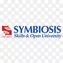 共生国际大学标志品牌布地奈德/福莫特罗福音-汽车工程