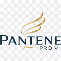 Pantene pncnc 8512护发素洗发水标识png图片化妆品标识