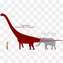 恐龙蜥脚类骨战新河龙阿根廷龙-恐龙