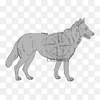 线条艺术绘图艺术狼数码艺术-狼