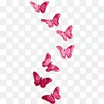 png图片蝴蝶摄影图像蝴蝶