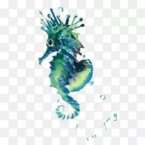 海马海洋生物水彩画-海马