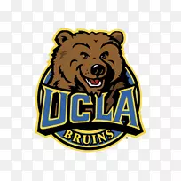 加州大学洛杉矶分校布鲁因斯足球熊标志品牌-熊