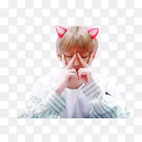 BTS k-POP翅膀桌面壁纸gif-翅膀