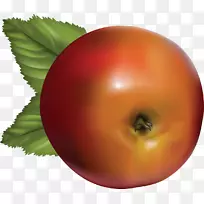 番茄苹果水果食品图形.番茄