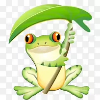 树蛙健康真正的青蛙疗法-青蛙