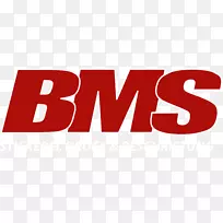 标志品牌产品设计字体-BMS标志