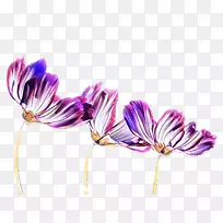 紫花植物.蓝花透明背景