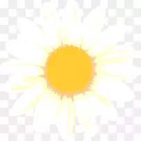 向日葵m桌面壁纸电脑字体向日葵