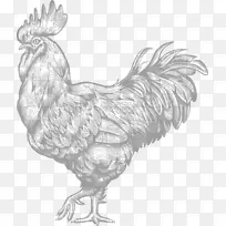 鸡插图图形餐厅-鸡